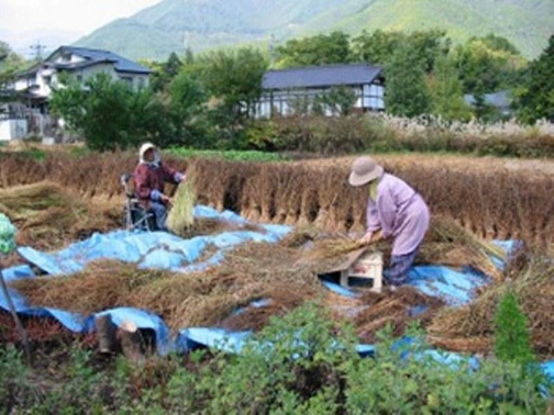 Village Inn Seizanso Matsumoto Dış mekan fotoğraf